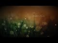 Tumse Milke Male Version Whatsapp Status