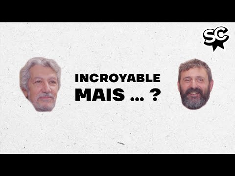 Alain Chabat & Quentin Dupieux — INCROYABLE MAIS... VRAI OU FAUX — Ces nanars existent-ils ? ​🎬​