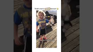 DEAD OR DANG Racoon??🤣😂😂😂🤣SO SWEET
