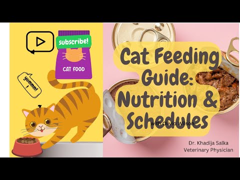 Cat Nutrition Guide || Schedule & Portion Control || Nutritional requirement @VetRamiAwwad