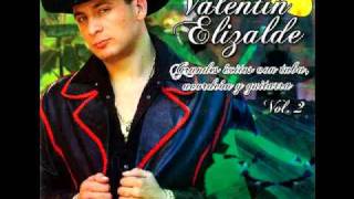 Destino Cruel (Con Tuba, Acordeon Y Guitarra) - Valentin Elizalde
