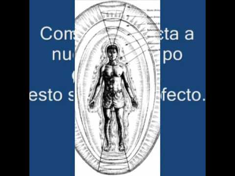 Reduzieren Entzündungen im Zusammenhang mit der Prostata Tinktur aus Schierling mit Prostatitis