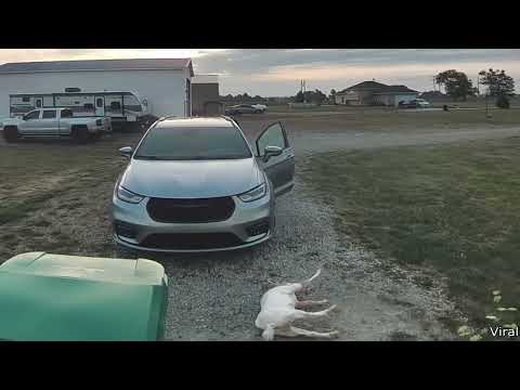 Ich wenn der Wecker klingelt...