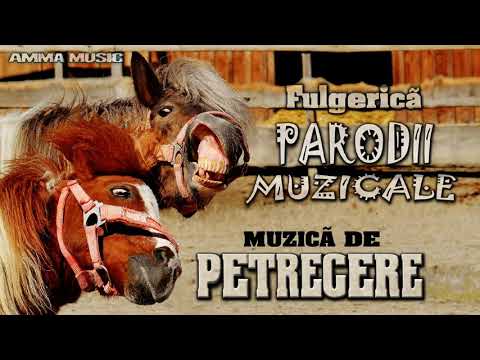 MUZICA DE PETRECERE –FULGERICA - PARODII MUZICALE