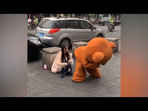 Lovely little bear everyday, TRY NOT TO LAUGH & Funny Pranks Compilation - 2020#04