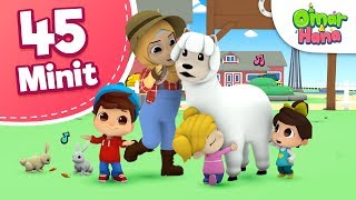 Download lagu Omar & Hana | Lagu Haiwan Hebat & Lain-Lain | Kompilasi Lagu & Kisah mp3