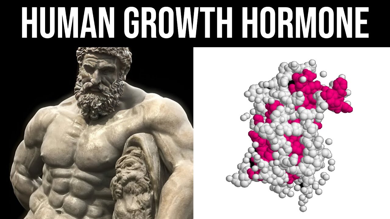 10 Ways to Boost Human Growth Hormone (HGH) Naturally