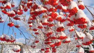 While Shepherds Watched (Cambridge Choir Of St. John's College, Stephen Cleobury)