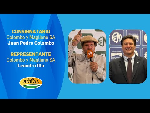 Juan Pedro Colombo and Leandro Illa | Tomorrow at 10 AM TV auction from Saladillo | 10/29/25 | MV