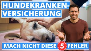 Hundekrankenversicherung Vergleich - Vermeide diese 5 Fehler