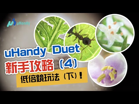 低倍鏡常用技巧（下）