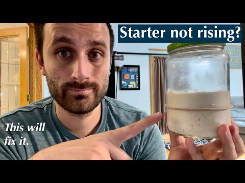 How to Fix Your Sourdough Starter When It WON'T RISE