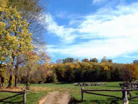 Svetlana Ceca Vidovic - Vojvodina