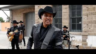 Sin Tu Amor Lyrics English Translation