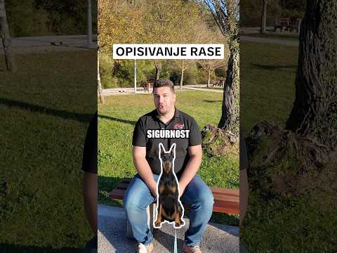 Na šta Vi provo pomislite ? #superdog #nepostojilospas #dresurapasa