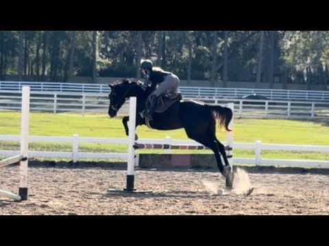 Olita ESH - Over Fences January 2026