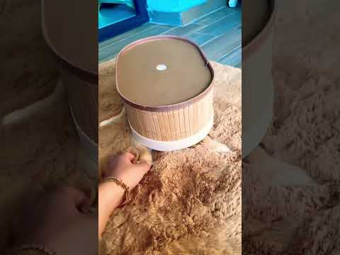 Kutunun içinde ne var?? #keşfet #shorts