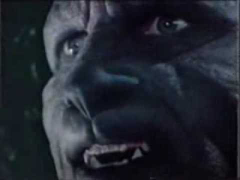 Manimal panther transformation sequence