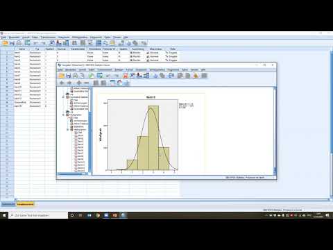 Grundvoraussetzungen für die Datenanalyse mit SPSS überprüfen