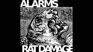 RAT DAMAGE   TOO MANY EYES