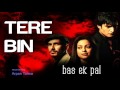 Tere Bin - Bas Ek Pal | by Arpan Tanna 