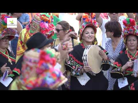 Martes Mayor (Plasencia)