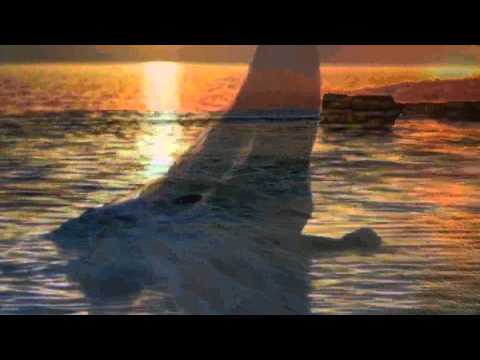 Ebb Tide video