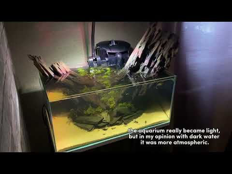 Purigen made my aquarium crystal clear