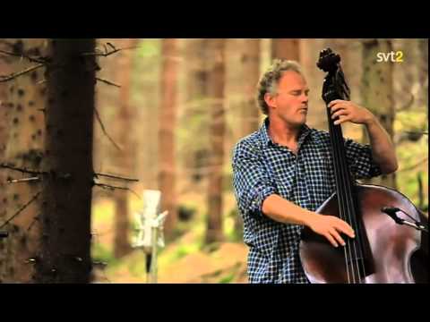 Bobo Stenson Trio - Live in the Forest, 2009