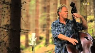 Bobo Stenson Trio - Live in the Forest, 2009