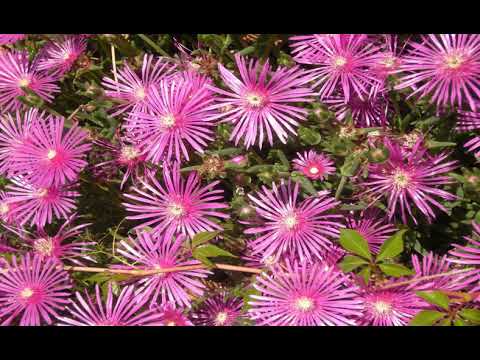 BB Casa Rina - Vocaglia - Switzerland