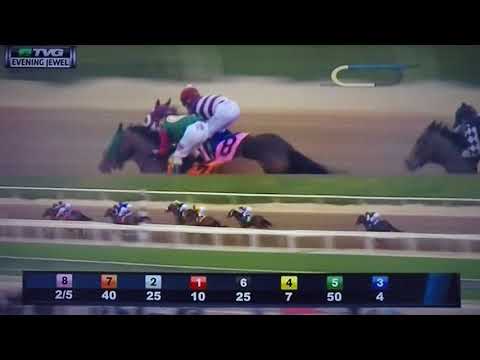 EVENING JEWEL (G STAKES) 4/7/18 - SPICED PERFECTION !!