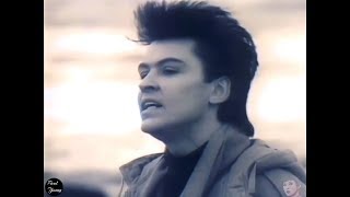 Paul Young - Come Back And Stay (Official Video) Remastered Audio HD