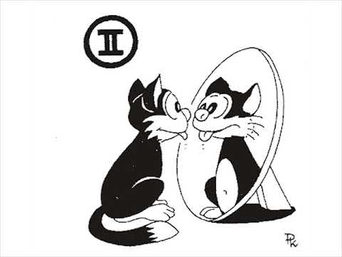 Velikonoční kalendář Pavla Kantorka: Pro kočku s překvapením