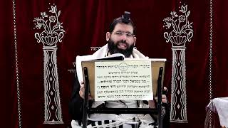 זבחים דף מ"ה ע''א ¤ הרב נתנאל אברז'ל ¤ בית הכנסת "בית מרדכי" (מוסדות תורת דוד) - התמונה מוצגת ישירות מתוך אתר האינטרנט יוטיוב. זכויות היוצרים בתמונה שייכות ליוצרה. קישור קרדיט למקור התוכן נמצא בתוך דף הסרטון