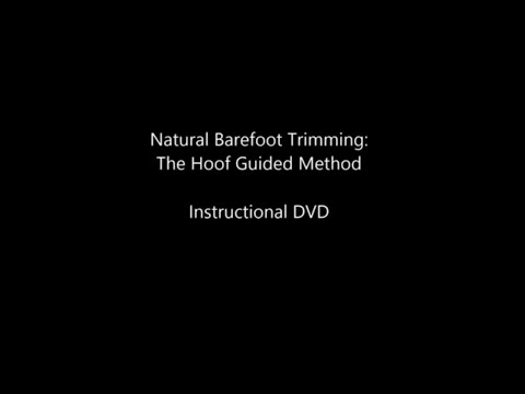 Maureen Tierney’s HGM Trimming Video