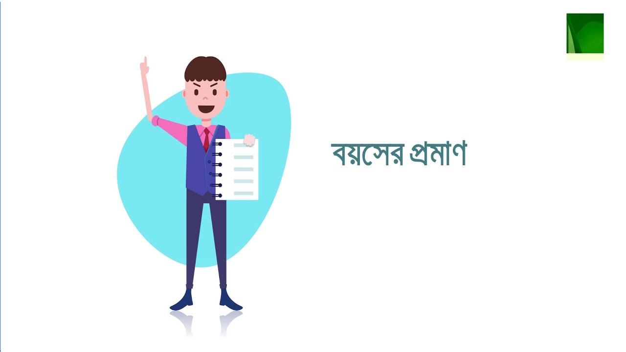 বীমার ধাপ সমূহ