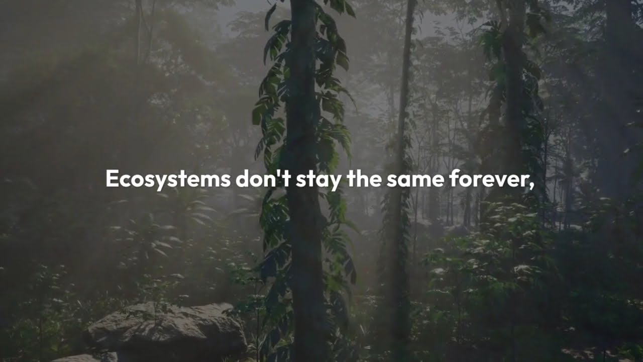 How all 5 stages of ecological succession work |