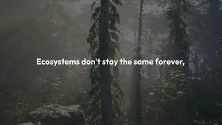 How all 5 stages of ecological succession work |