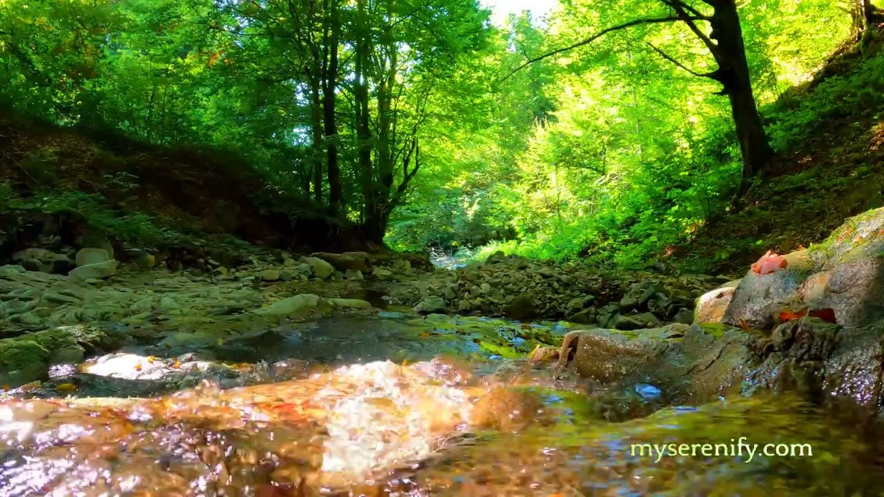 Meditating Without an App: A Comprehensive Guide