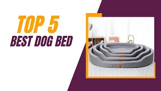 Discover the Top Rated Dog Bed of 2024!