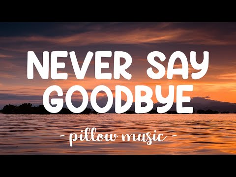 Never Say Goodbye - Bon Jovi (Lyrics) 🎵