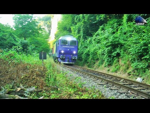 Horns Concert de Goarne By Jimmy Tricolor 64-0990-3 in Defileul Crișului Repede Canyon - 03 July 201