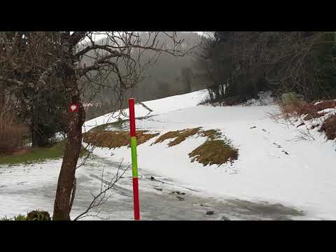 Slovenija odkod lepote tvoje. Metka in Dominik v studiu Tomaža Hribarja.