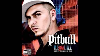Pitbull Dammit Man Remix (ft. Lil Flip) 2005