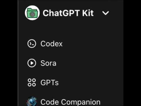 Item video thumbnail