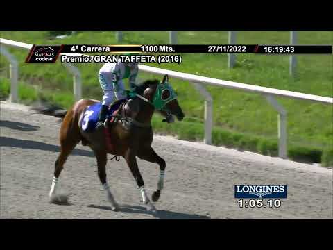 221127 c04 1°  MARAVILLA VAN