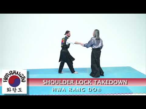 Hwa Rang Do Hoshinsul Joint Manipulation Vol.1, 2 & 3. GM Taejoon Lee