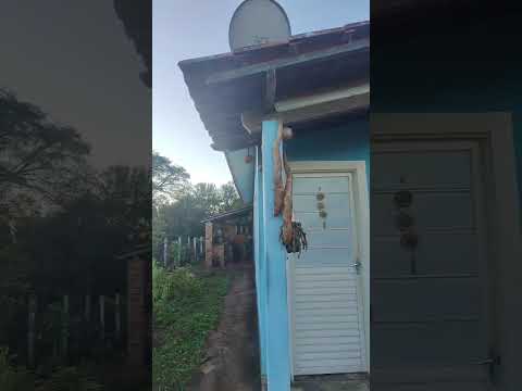 FIM DE TARDE NO BAIRRO PALESTINA EM JURUAIA MG @tvglobo @tvaparecida @chulipaoficial