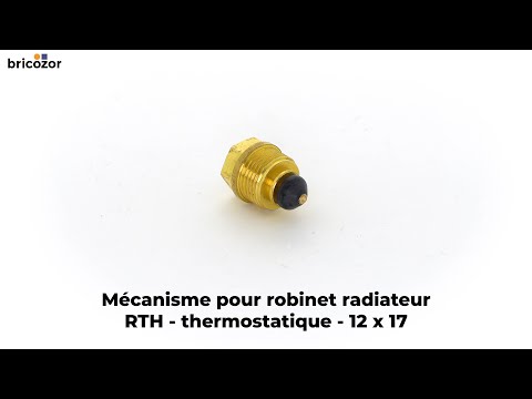 Mécanisme pour robinet radiateur - RTH - pour corps thermostatique COMAP